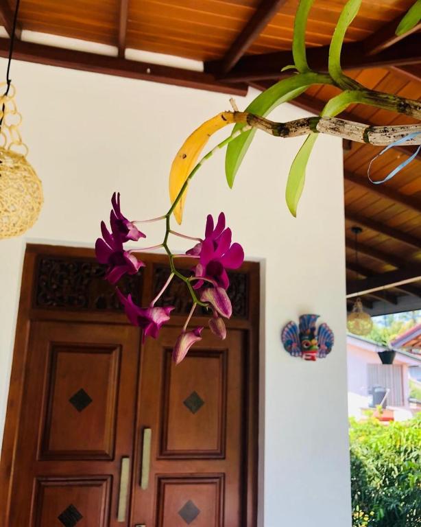 Koliba Falkennest villa - priestory